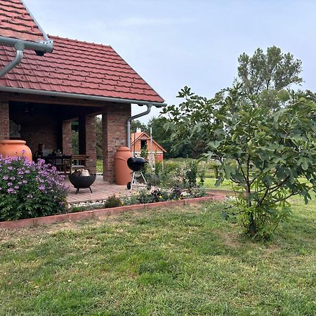 Bed and Breakfast Kosbor Panzio Magyarszombatfa Zewnętrze zdjęcie