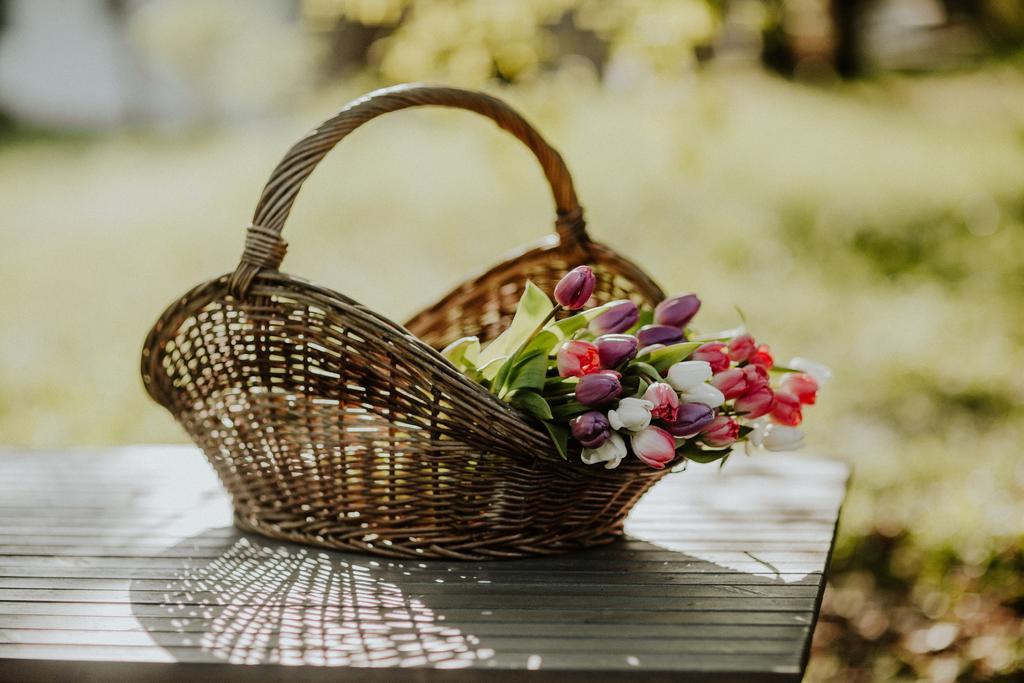 Bed and Breakfast Kosbor Panzio Magyarszombatfa Zewnętrze zdjęcie
