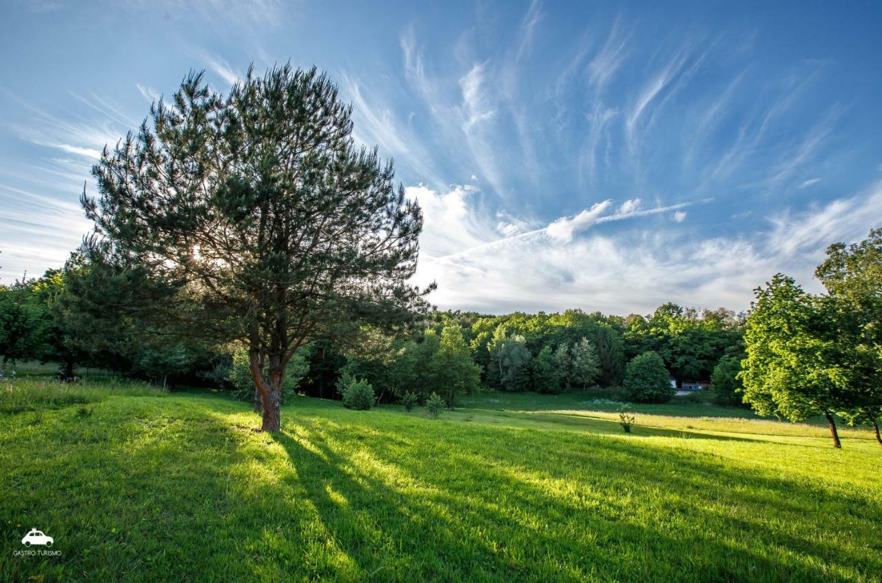Bed and Breakfast Kosbor Panzio Magyarszombatfa Zewnętrze zdjęcie